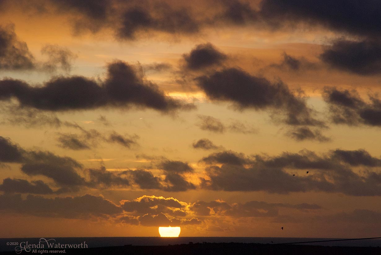 Sunrise-270120-(8)