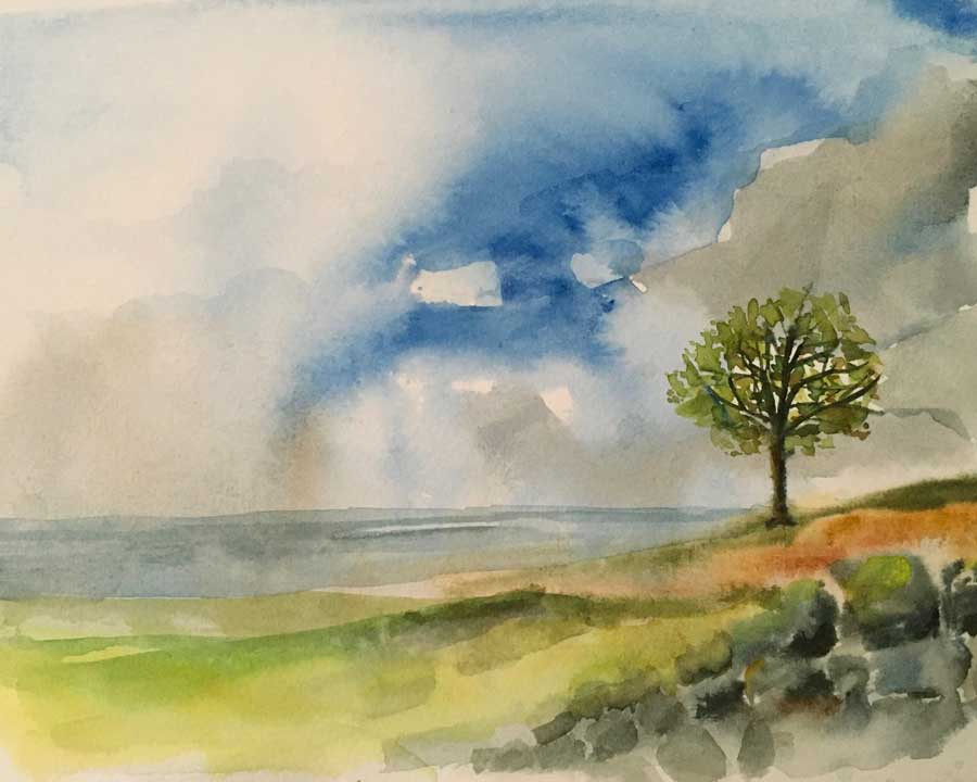 watercolour sketch of a tree and wall by the sea